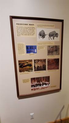 A quick stop at National Buffalo Museum on the way to Bismarck today.  Got my learn on.