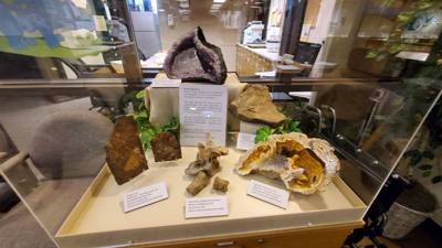 This dinosaur museum had different information than the other one previous in the week.  Good stuff.  Avery was in heave