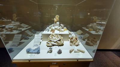 This dinosaur museum had different information than the other one previous in the week.  Good stuff.  Avery was in heave