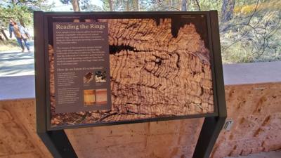 A visit to the Florissant Fossil Beds National Monument.  The visitor center was closed but we got to hike around the pa