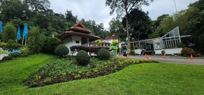 First up this morning was a visit to the Queen Sirikit Canopy Walk.  Beautiful views and listing to the moving water of 