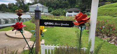 Up the hill from the canopy walk was the botanical garden.  Super beautiful.  Always stunning to see so many different a