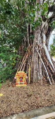 Reliquaries of Northern Thai Royalty.  Tour guide Udom explained the sticks against the tree and other things.  I sugges