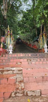 First Temple today.  Lots of steps!  Whew!  This one was an adventure.  We were told we can do the steps or do the path 