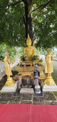 First Temple today.  Lots of steps!  Whew!  This one was an adventure.  We were told we can do the steps or do the path 