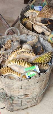Stopped by a roadside market on the way to Sukhothai.  Picked up some local fruits.  Unique flavors and textures.