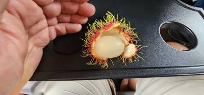 Stopped by a roadside market on the way to Sukhothai.  Picked up some local fruits.  Unique flavors and textures.