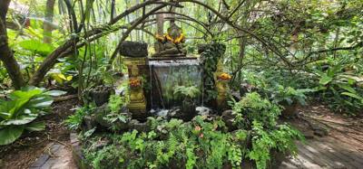 I swear every place we go has great food and wonderful botanicals.  Chaba Lagoon was no exception.  The food we ate was 