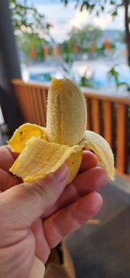 Mini bananas for breakfast...