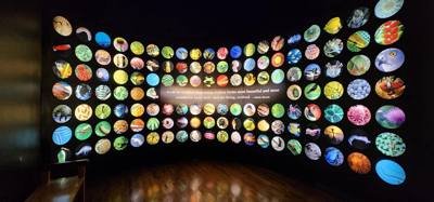 It's difficult to get through more than half of the Field Museum each time we come.  But so much cool stuff!