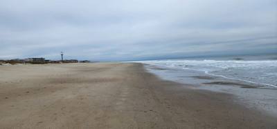 Julie says "It's not beach weather but it's not -3 degrees so...". Had to get up close and friendly with the Atlantic wh