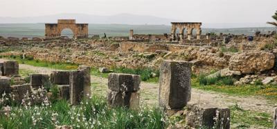 The Roman ruins of Volubilis was definitely the creshendo of the day.  An unexpected surprise.  The mosaic of the 12 tri