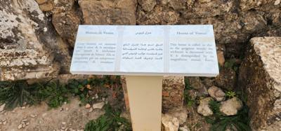 The Roman ruins of Volubilis was definitely the creshendo of the day.  An unexpected surprise.  The mosaic of the 12 tri