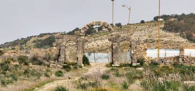The Roman ruins of Volubilis was definitely the creshendo of the day.  An unexpected surprise.  The mosaic of the 12 tri