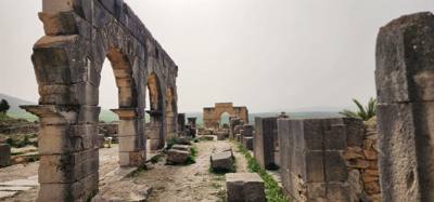 The Roman ruins of Volubilis was definitely the creshendo of the day.  An unexpected surprise.  The mosaic of the 12 tri