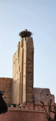 Different orientation of the tombs indicated their religion.