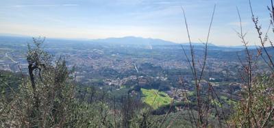 Fun drive up to Montecatini Alto.  Might need to pull Julie's fingernails out of the dash.  Roads are pretty thin around