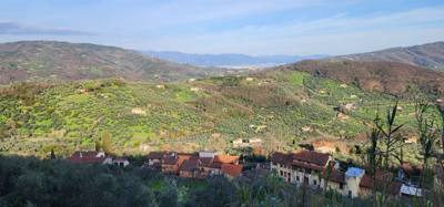 Fun drive up to Montecatini Alto.  Might need to pull Julie's fingernails out of the dash.  Roads are pretty thin around