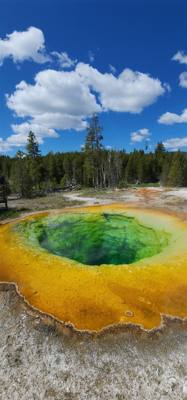A lot of vibrant colors in some of those pools.  Lots to see here.  I couldn't get Avery to go pet a bison.  He must be 